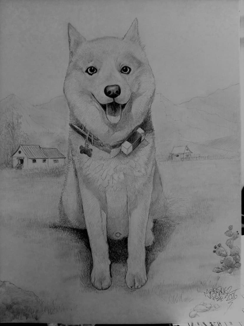 Retrato Canino - Shiba Inu